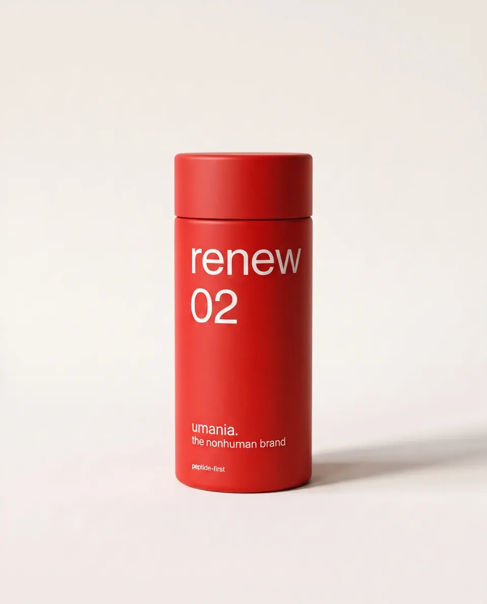 renew 02